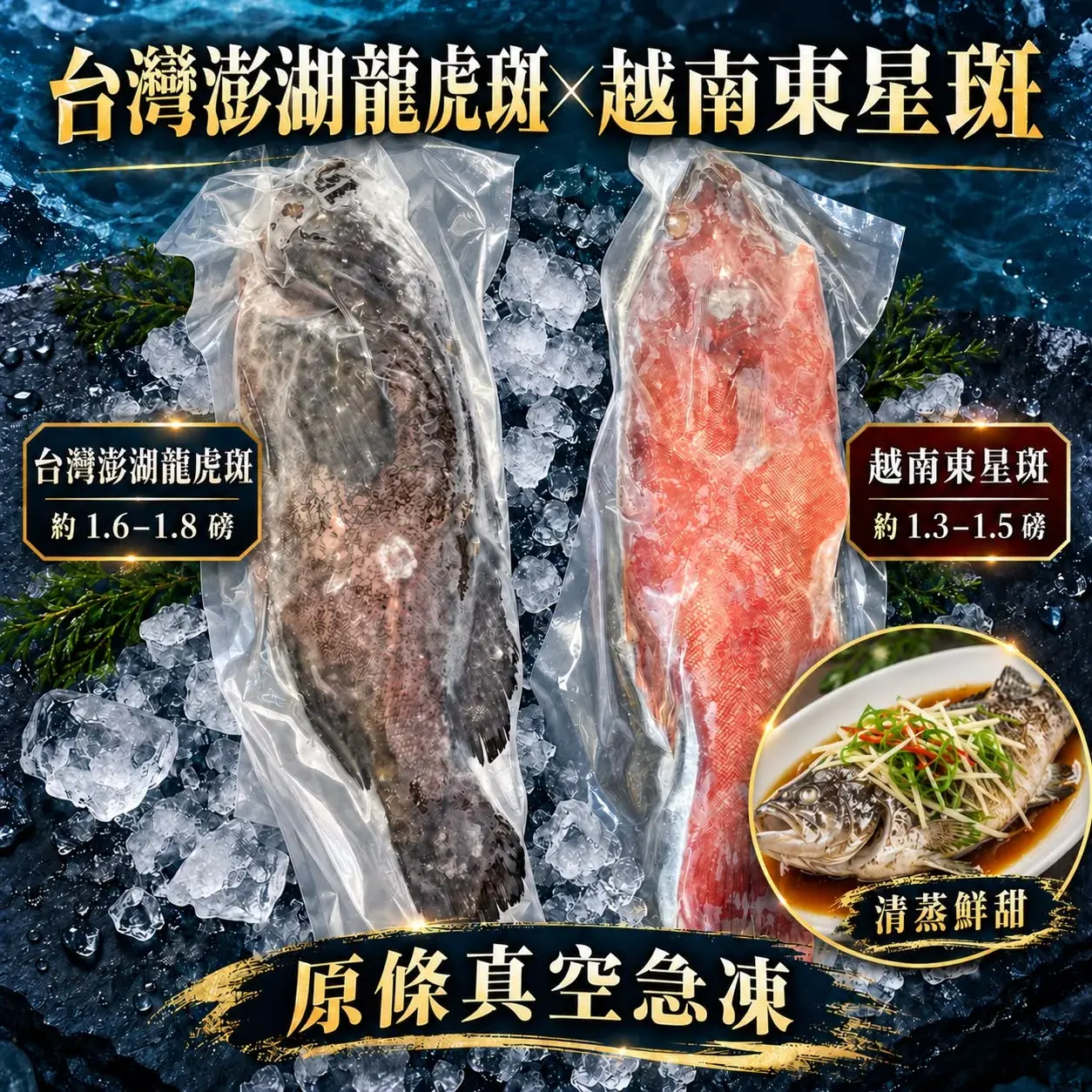 台灣🇹🇼澎湖龍虎斑 × 越南🇻🇳東星斑 原條真空新鮮急凍