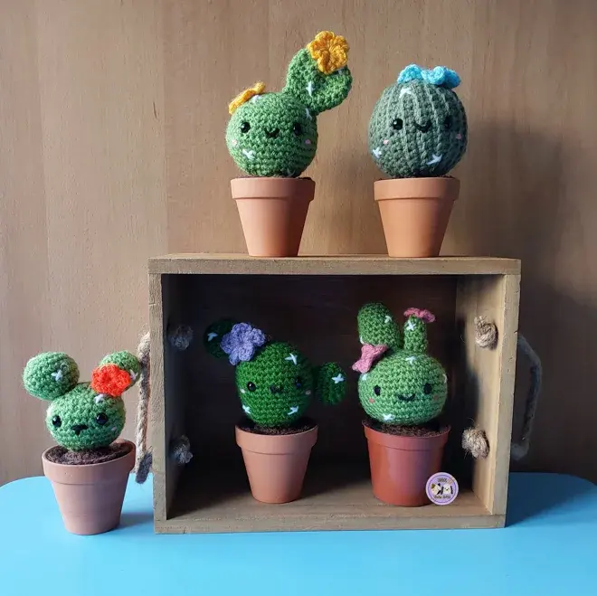 Cactus in a Clay Pot